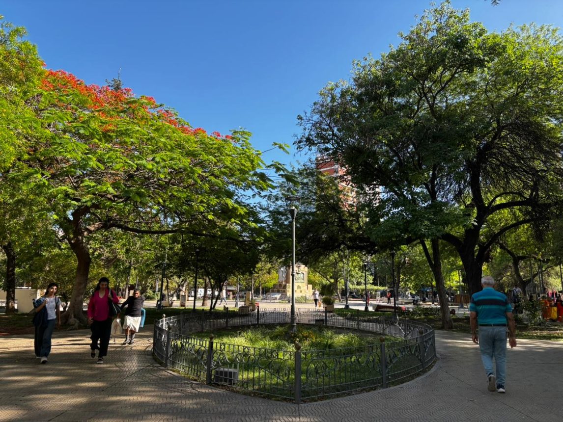 Cómo estará el tiempo este lunes 13 de julio en Santiago del Estero: frío por la mañana y tarde agradable