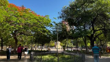 Cómo estará el tiempo este lunes 13 de julio en Santiago del Estero: frío por la mañana y tarde agradable