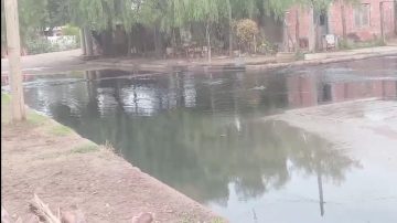 “Las cloacas explotan cuando llueve”: vecinos reclaman solución a un añejo problema