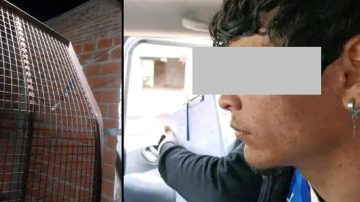 Rompió una reja y se metió en la casa de una joven madre en plena madrugada