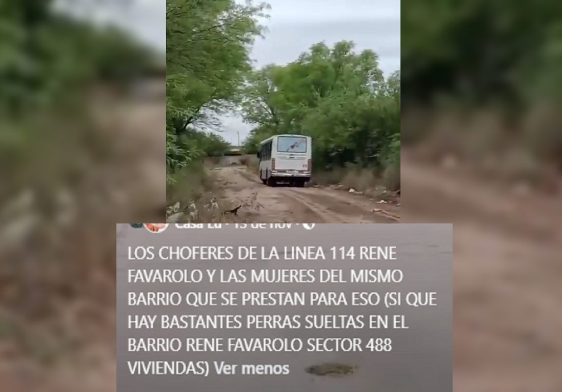 Filtran comprometedor VIDEO de un chofer de la línea 114 “en medio del monte”: ¿Qué hacía?
