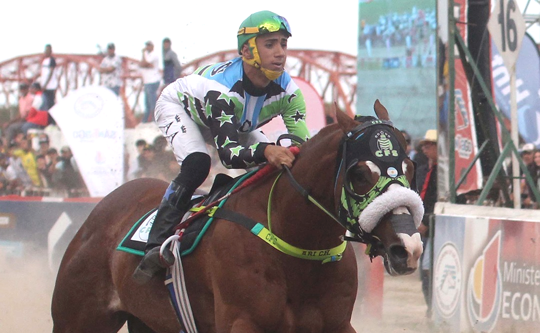 Cowboy, el caballo que ganó la triple corona en el Hipódromo 27 de Abril y murió
