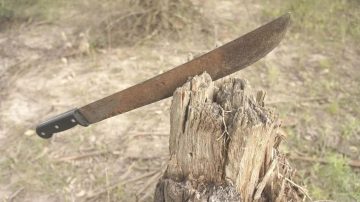 Sexagenario se defendió con un machete de cuatro delincuentes que querían robarle