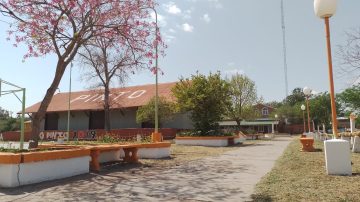 Directora denunció a la madre de un pequeño que llegó con una lesión al jardín