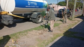 La Municipalidad capitalina cumplió con el objetivo de plantar más de 60.000 árboles durante el año 2025