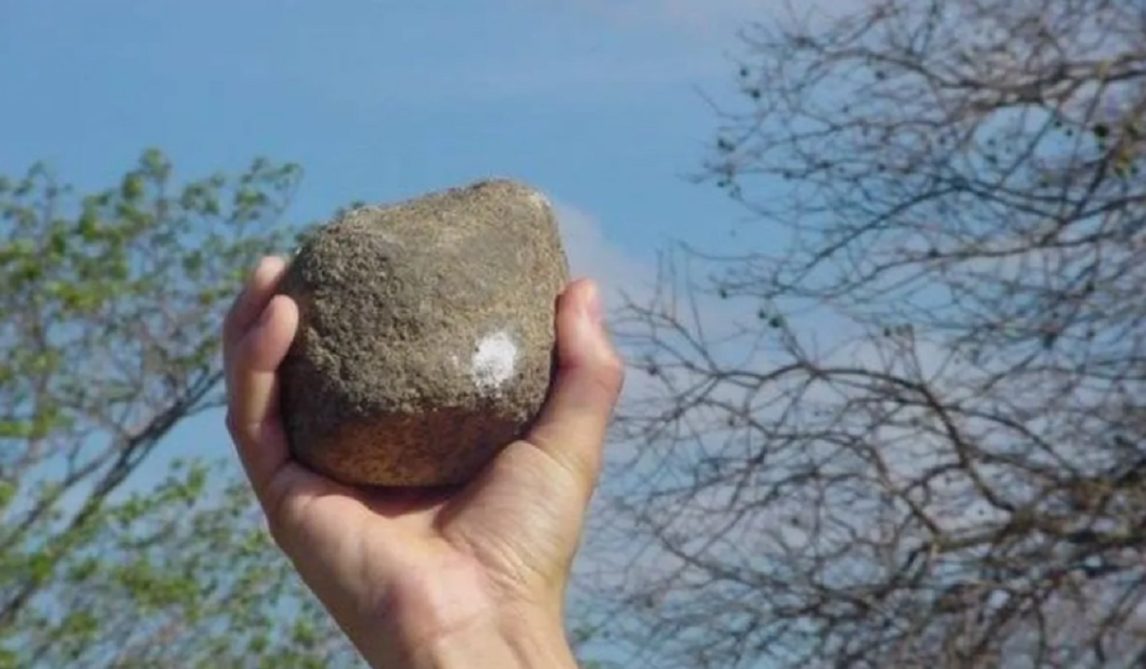 Campo Gallo: intentó defender a su madre y su hermano le provocó una grave herida en la cabeza