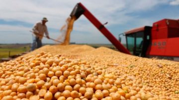 Santiago del Estero marcó un nuevo récord exportador en 2025 y se ubicó entre las 10 primeras del país