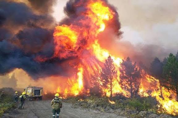 Chubut: el combate contra el fuego reaviva el debate por las prioridades de inversión del Estado