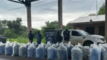 Secuestran casi una tonelada de hojas de coca en la Ruta 2 en el operativo “Muralla Norte”