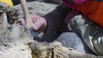 Hallan restos óseos ancestrales al costado de un camino en Guasayan
