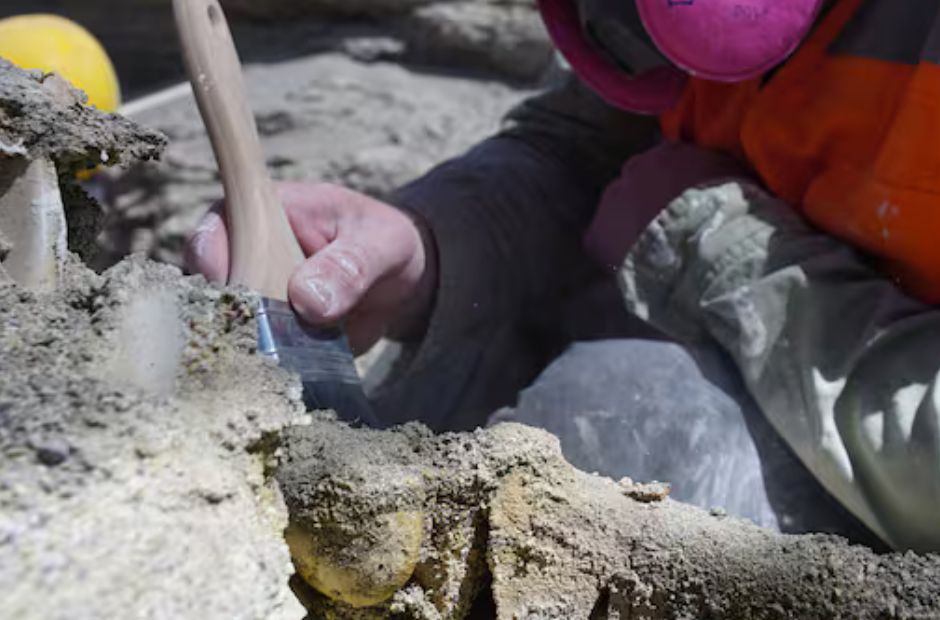 Hallan restos óseos ancestrales al costado de un camino en Guasayan