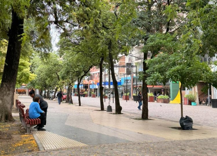 Domingo ideal para ver la final del Mundial 2026: Qué dice el pronóstico para hoy