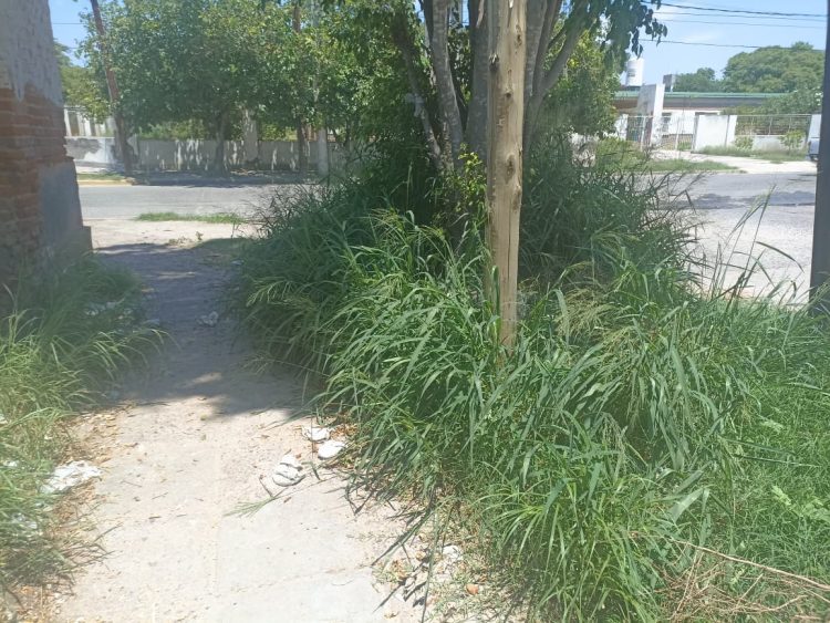 Vecinos del barrio Sargento Cabral denuncian abandono y acumulación de basura