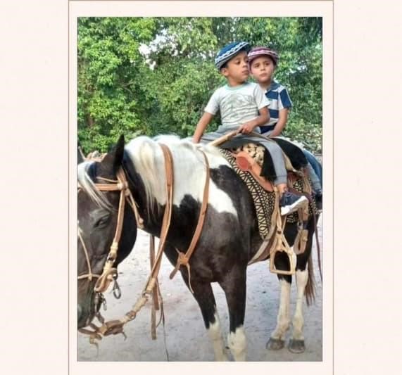 Indignación en Lavalle: robaron el caballo que era parte de la terapia de dos niños con autismo