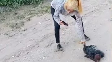 Maltrato animal en Guasayán: El Polaco del Montecito de los Canichones denunció penalmente a las mujeres del video