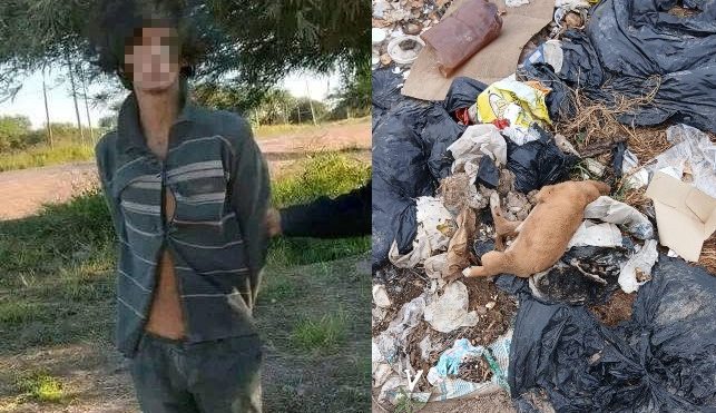 Rescatistas ayudan a la policía a buscar a “Diyi”: “Sigue violando animales”