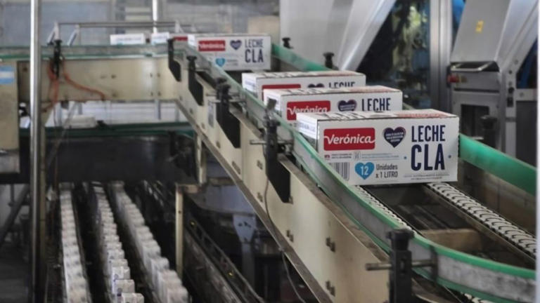 Lácteos Verónica, en crisis: incertidumbre por 700 puestos de trabajo en Santa Fe