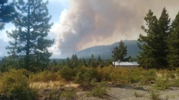 La Iglesia Católica reza y organiza ayuda solidaria frente a los incendios en la Patagonia