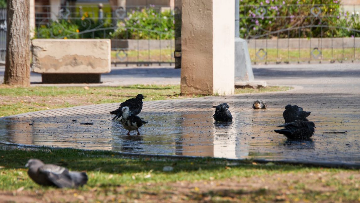 La térmica alcanzó los 48 °C, rige el alerta en gran parte de la provincia, pero la temperatura no bajará
