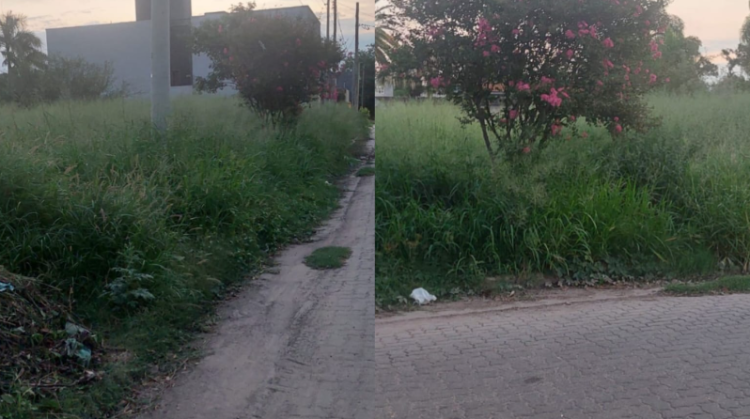 Vecinos del barrio Cabildo reclaman por malezas y alimañas: “Está abandonado”