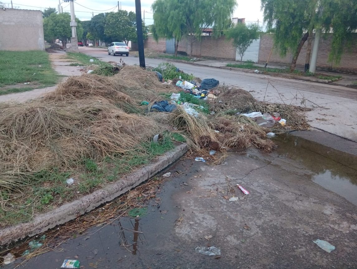 Vecinos de Villa del Carmen denuncian abandono total: “Ya no sabemos qué hacer”
