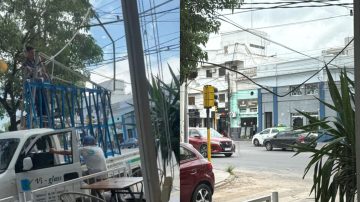 Alarma: un camión enganchó cables y los dejó a baja altura