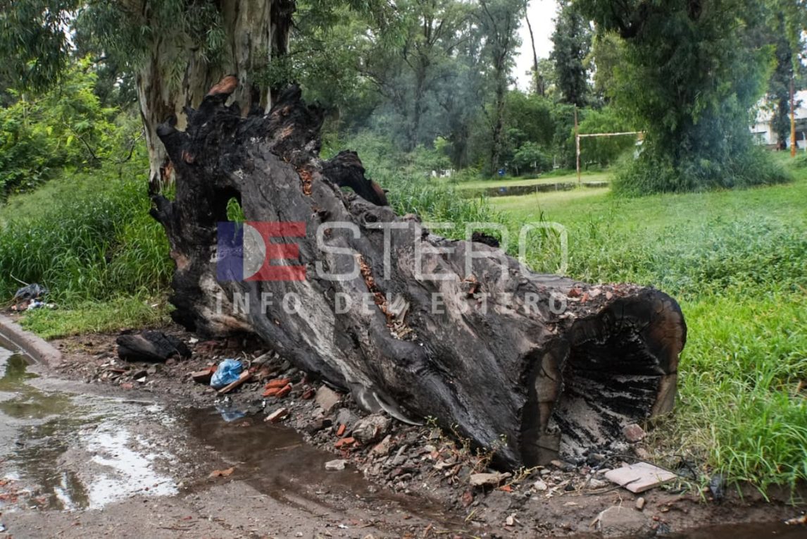FOTOS. Al final no fue un rayo: investigan incendio intencional en el Parque Aguirre