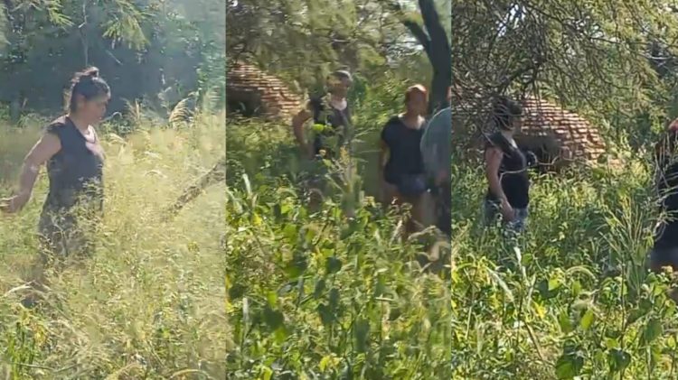 “No voy a dejar de buscar los restos de mi mamá”: el desesperado reclamo de la hija de Emilia Medina