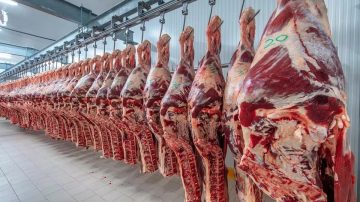 La carne vacuna pierde lugar en la mesa de los argentinos en 2026