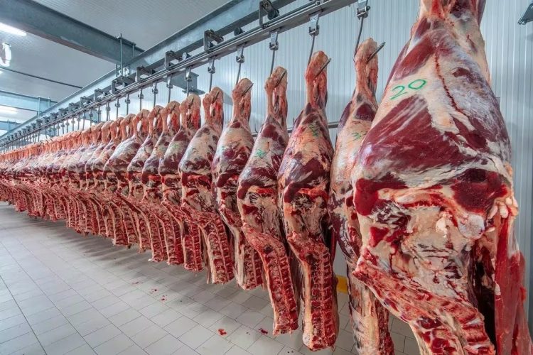 “La carne no va a bajar”: un veterinario defendió los precios y relativizó el impacto en el bolsillo