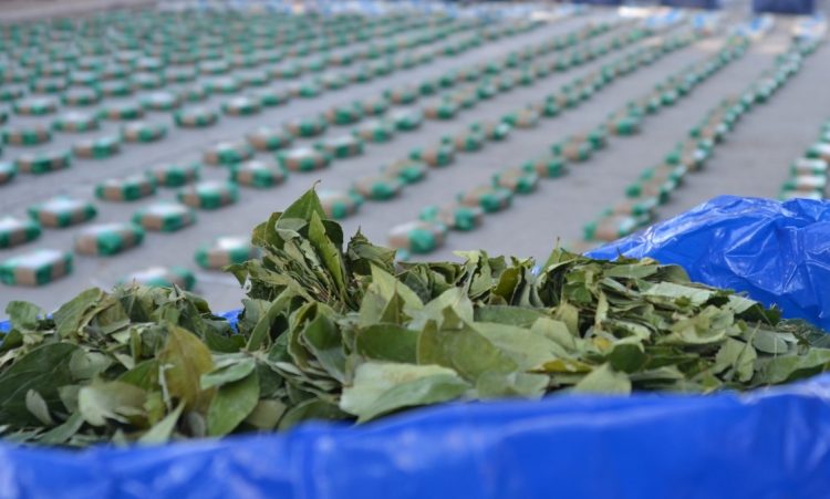 Operativo en Pozo Hondo: incautaron más de una tonelada de hoja de coca en un camión