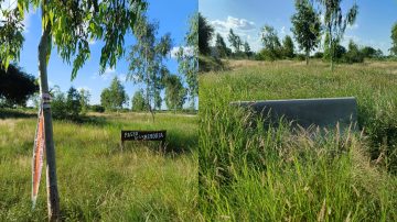 Olvido: A menos de un mes del 24 de marzo, a 50 años del golpe militar, el “Paseo de la Memoria” luce abandonado y tapado de maleza