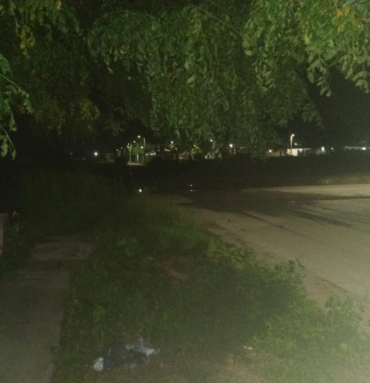 Reclamo urgente: falta de iluminación y monte crecido generan temor en el barrio Ejército Argentino