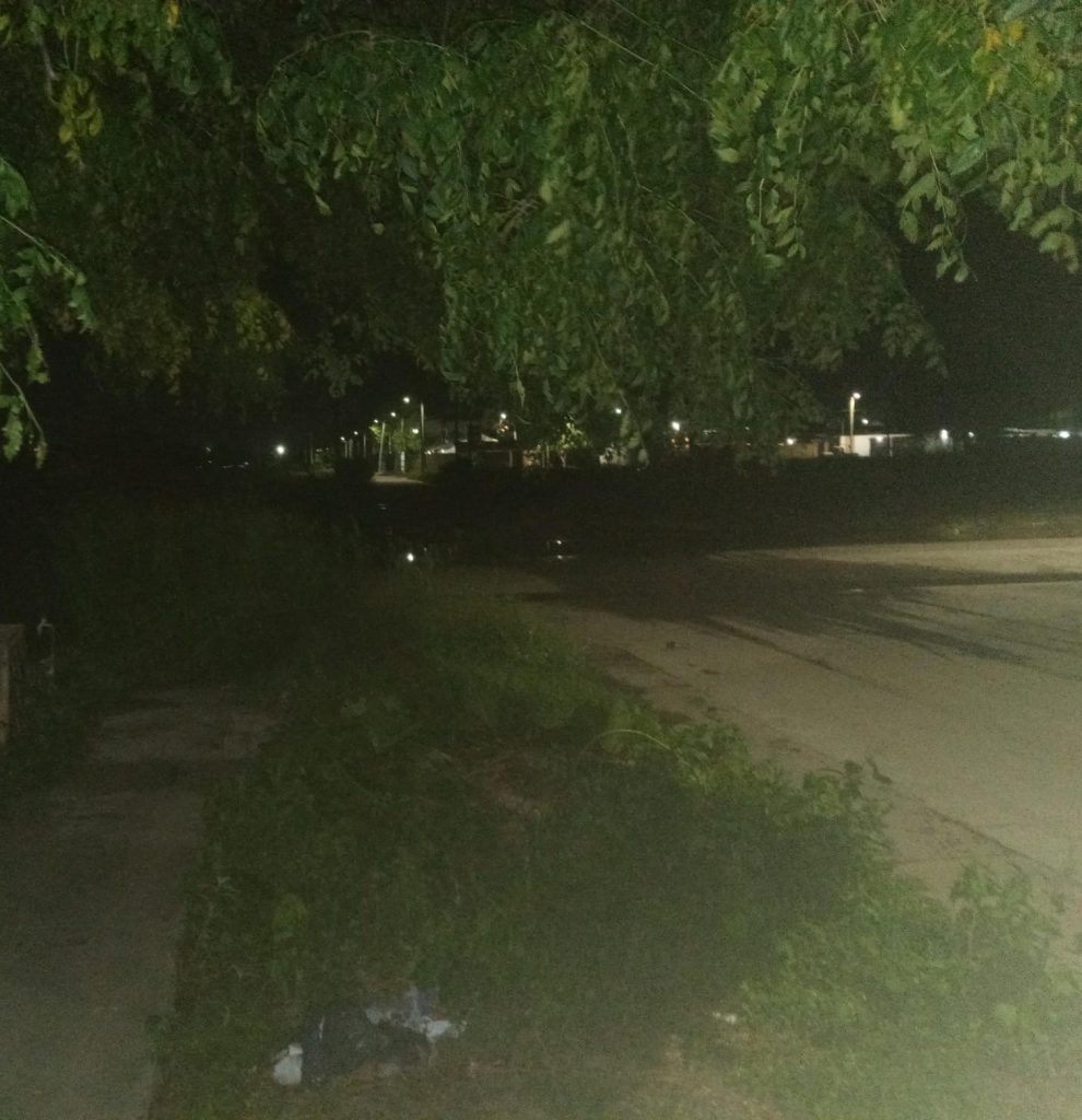 Reclamo urgente: falta de iluminación y monte crecido generan temor en el barrio Ejército Argentino