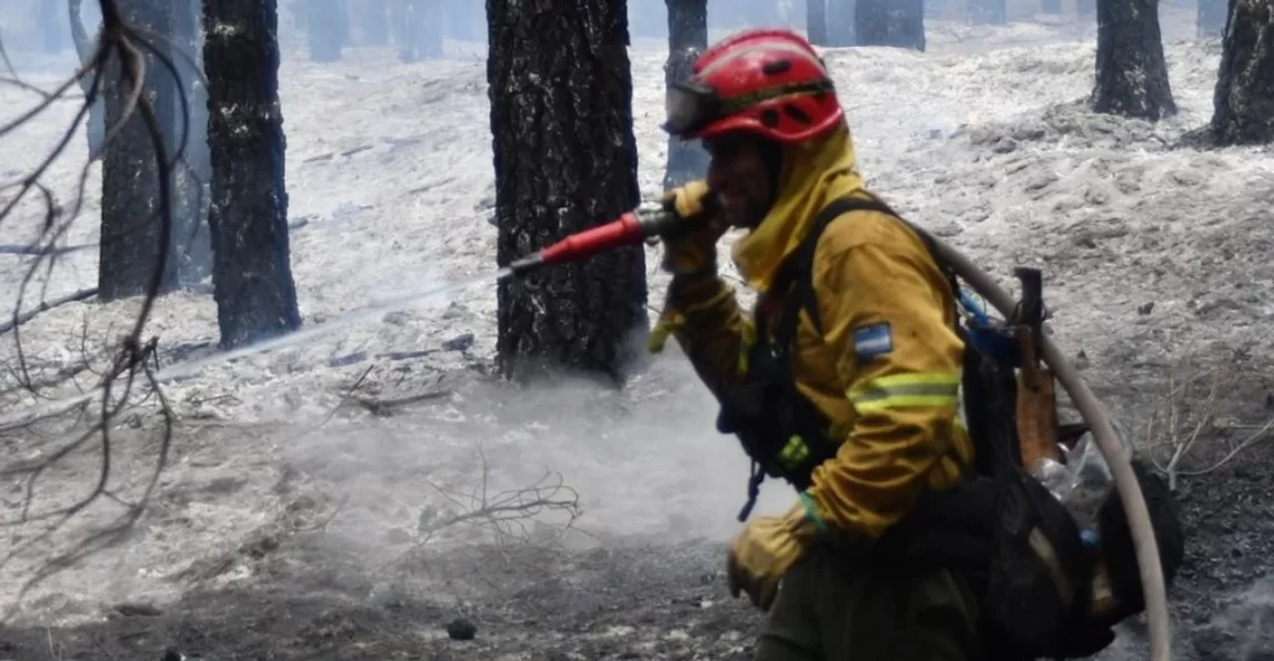 Alivio en la Patagonia: la lluvia y el frío frenaron el avance del fuego en Los Alerces