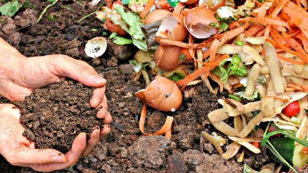 Compostaje en casa: claves para reducir residuos y cuidar el ambiente desde lo cotidiano