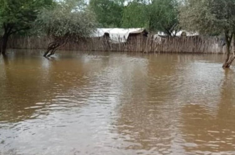 Desastre: el Bermejo desbordó en Salta y hay decenas de parajes aislados