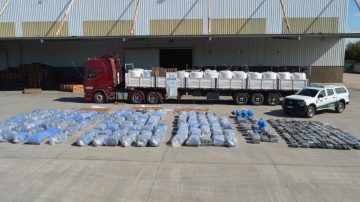 FOTOS. Hallan más de 3.800 kilos de hojas de coca escondidos en un camión