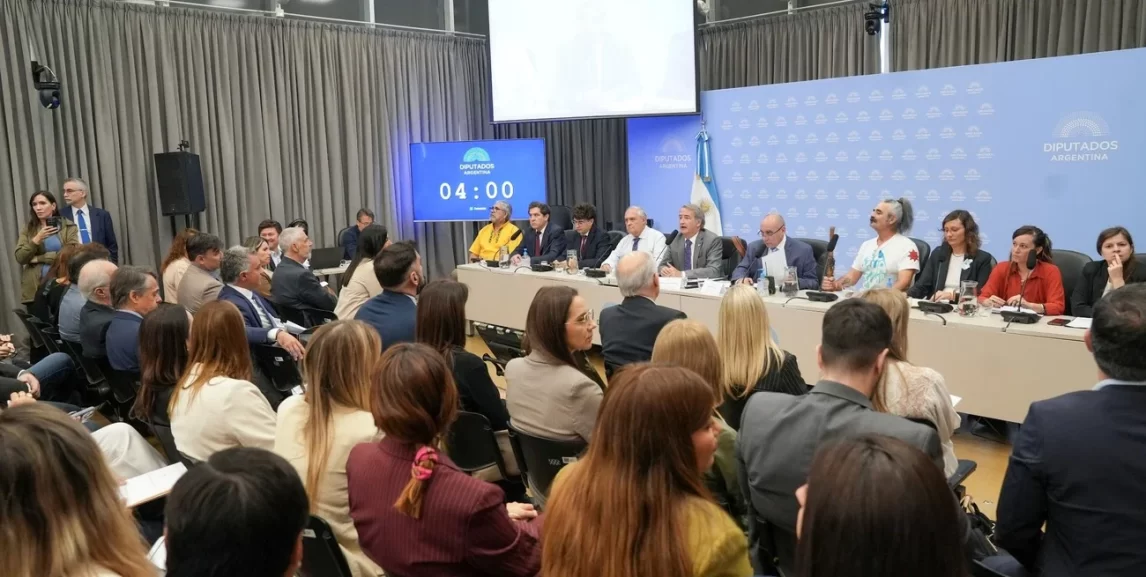 Tensión en la audiencia por la Ley de Glaciares: micrófonos cortados y acusaciones de cohecho por la reforma