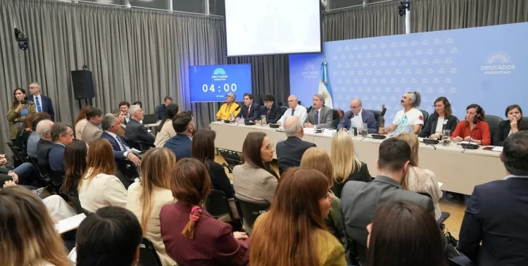 Tensión en la audiencia por la Ley de Glaciares: micrófonos cortados y acusaciones de cohecho por la reforma