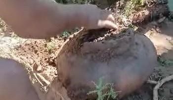 Importante hallazgo arqueológico en zona rural