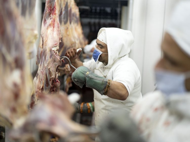 China y Europa rechazan cargamentos argentinos por fallas sanitarias luego de los ajustes en el Senasa