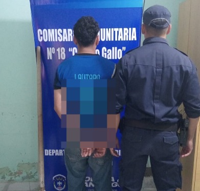 Campo Gallo: paseaba con un ventilador robado al hombro y terminó tras las rejas