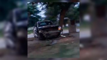 Un auto se subió a la platabanda y terminó contra un árbol en avenida Belgrano