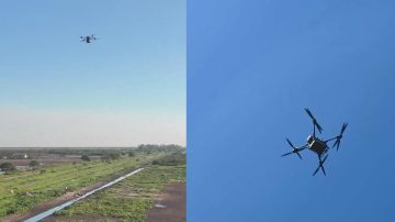 “Llueven” semillas en Bandera y Tostado: ONG usa drones para sembrar y restaurar áreas degradadas