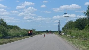 Choque y vuelco sobre Ruta 5 tras una maniobra para esquivar animales