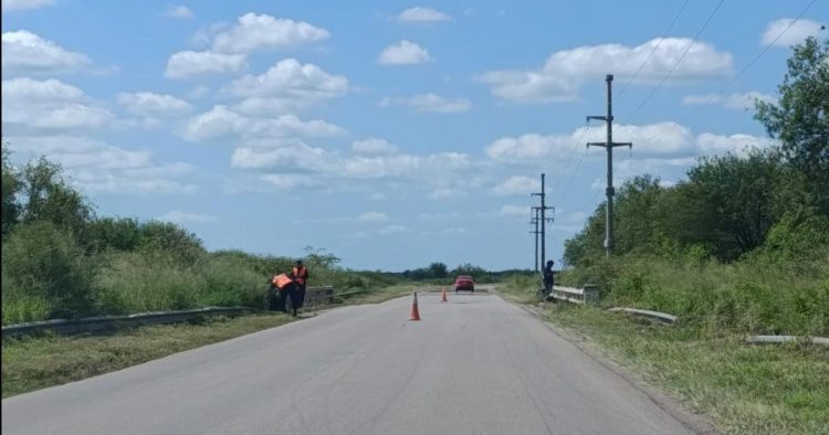 Choque y vuelco sobre Ruta 5 tras una maniobra para esquivar animales