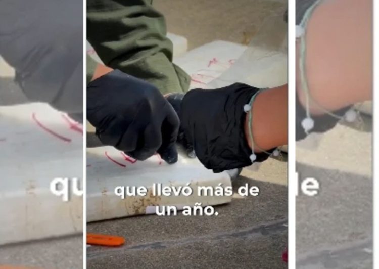 Gendarmería incautó casi una tonelada de cocaína y detuvo al capo Brian Bilbao