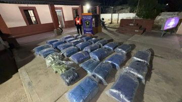 Salteños evadieron un control en Ruta 34 con más de 650 kilos de hojas de coca: uno tenía pedido de captura