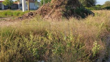 FOTOS. Reclamo de vecinos por terrenos en mal estado en el barrio Santa Lucía ampliación